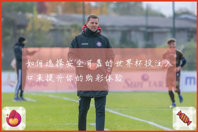 如何选择安全可靠的世界杯投注入口来提升你的购彩体验
