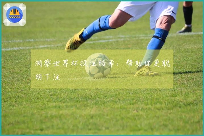 洞察世界杯投注赔率，帮助你更聪明下注