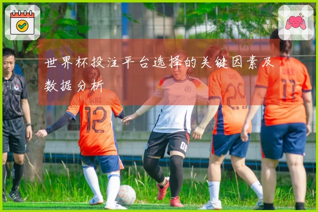 世界杯投注平台选择的关键因素及数据分析