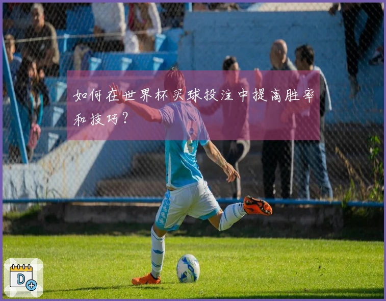 如何在世界杯买球投注中提高胜率和技巧？